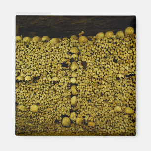Paris Catacombsdöskallar och ben Magnet