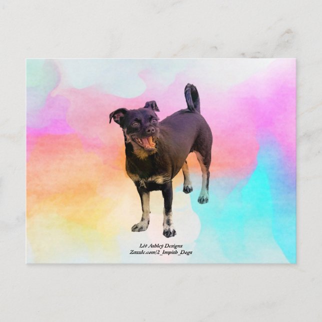 Paris Disco vykort (Framsida)