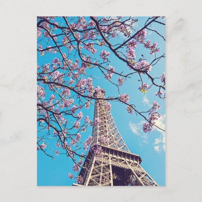 Paris Eiffel Torn Blooms i Springtime Postcard Vykort (Framsida)