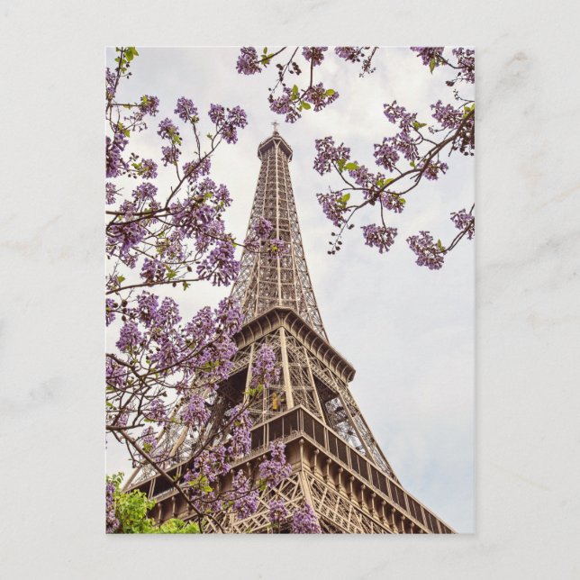 Paris Eiffel Torn i Springtime Photo Postcard Vykort (Framsida)