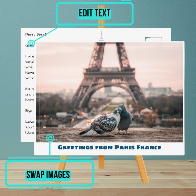 Paris Eiffel Torn Love birds Vykort (Instead of buying postcards, use this template to customize text & share your own photo.)