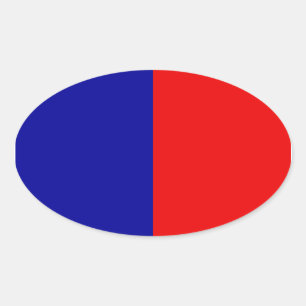 Paris Flagga Ovalt Klistermärke