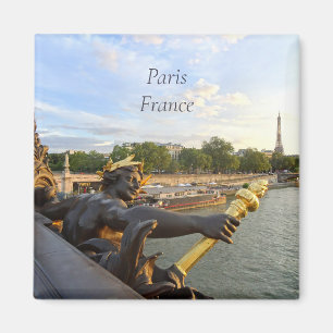 Paris Frankrike Pont Alexandre. Magnet