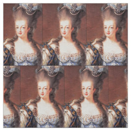 Paris franskMarie Antoinette tyg