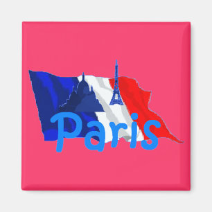 PARIS magnet