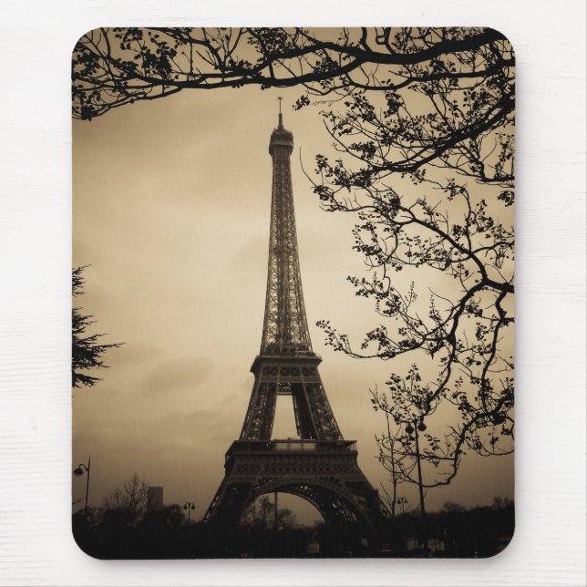 Paris Musmatta (Framsidan)