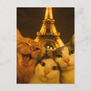 Paris Natt Katt Selfie Squad Älskare Vykort