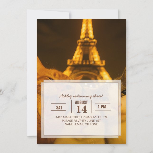 Paris Night Cat Selfie Squad Lover                 Inbjudningar (Framsida)