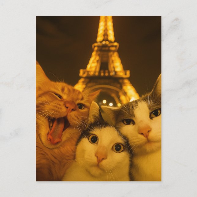 Paris Night Cat Selfie Squad Lover                 Vykort (Framsida)