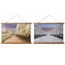 Paris Palais Royal Trädgård