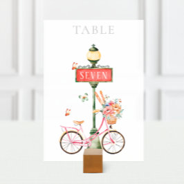 Paris Rosa Bicycle Watercolor Bordsnummer