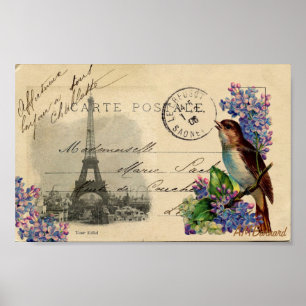 Parisvykortsfågel på Lilacs Poster eller skriver u
