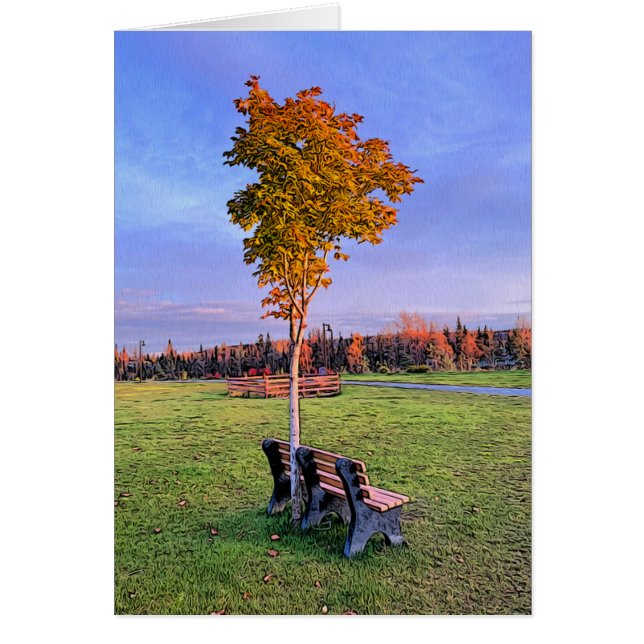 Park Bench - 5-tums x 7-tums bildkort Hälsningskort (Framsidan)