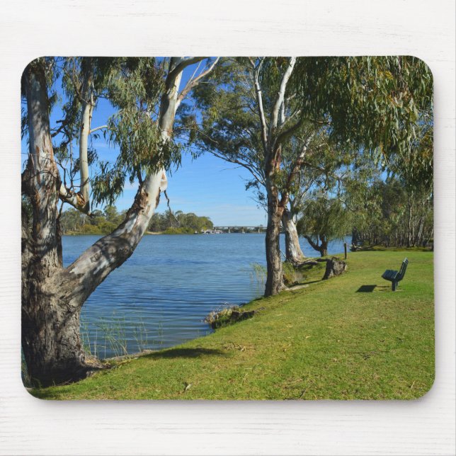 Park Bench, Berri, South Australia Musmatta (Framsidan)