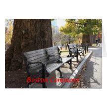 Park Bench, Boston Commons, Massachusetts