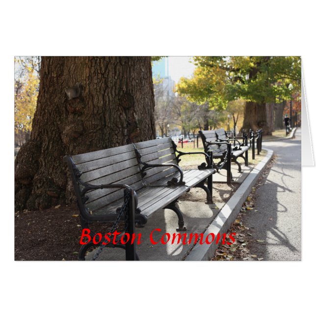 Park Bench, Boston Commons, Massachusetts Hälsningskort (Framsidan Horizontal)