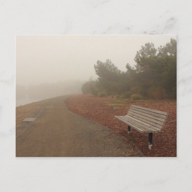 Park Bench i Fog Postcard Vykort (Framsida)