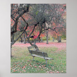 Park Bench in Autumn Poster