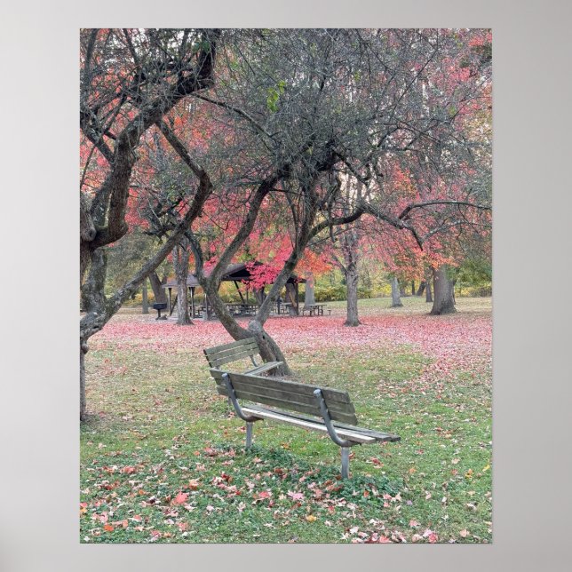 Park Bench in Autumn Poster (Framsidan)