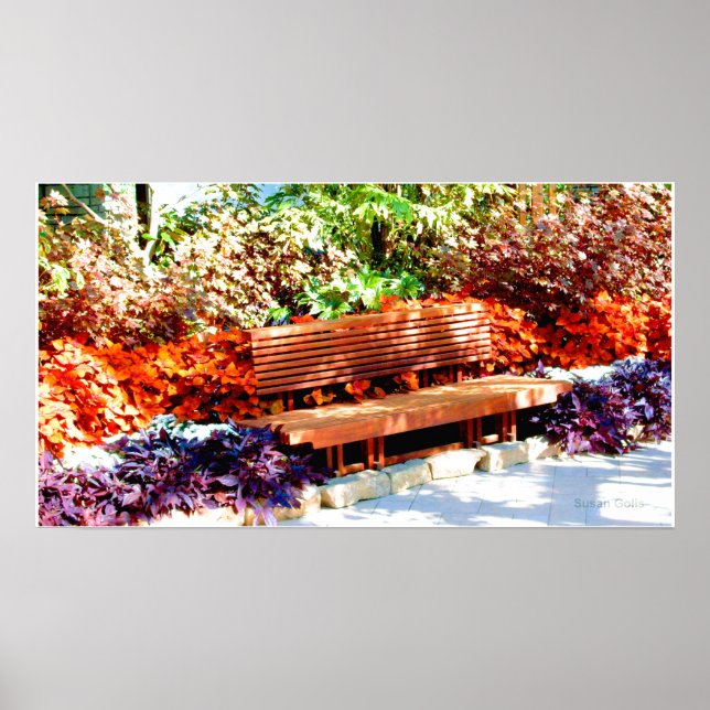 Park Bench in Botanical Garden Poster (Framsidan)