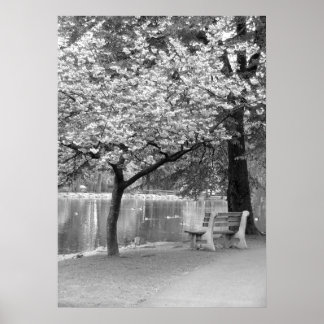 Park Bench Poster