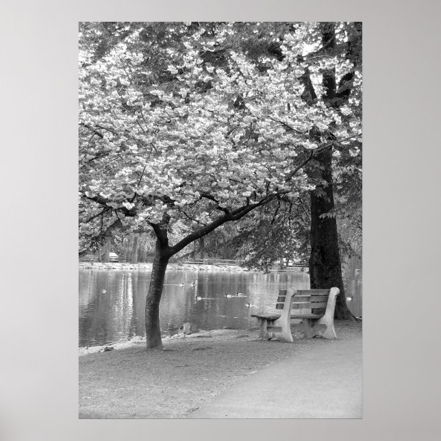 Park Bench Poster (Framsidan)