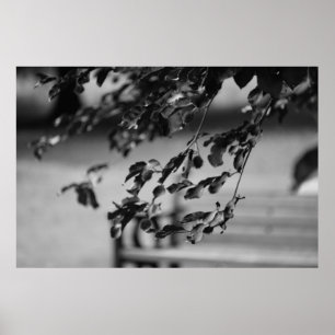 Park Bench Poster