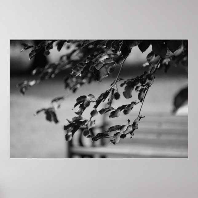 Park Bench Poster (Framsidan)