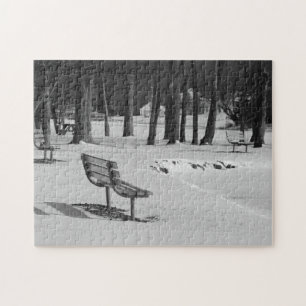 Park Benches i en Roligt i en mellanskiktsscen Pussel