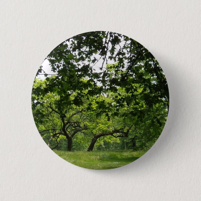 Park Button Knapp (Framsida)