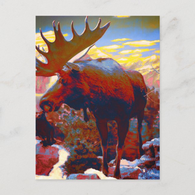 Park City Moose Souvenir Card Vykort (Framsida)