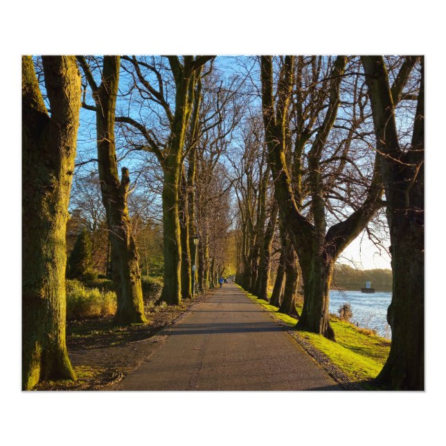 Park Fototryck (Framsidan)