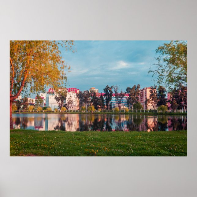 Park i Batumi Poster (Framsidan)