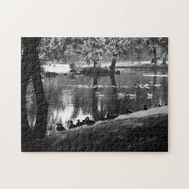 Park Life 11x14 252pc jpcna Pussel (Horisontell)