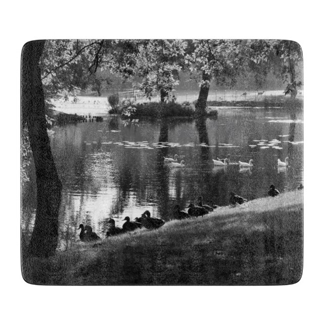 Park Life cbcna (Framsidan)