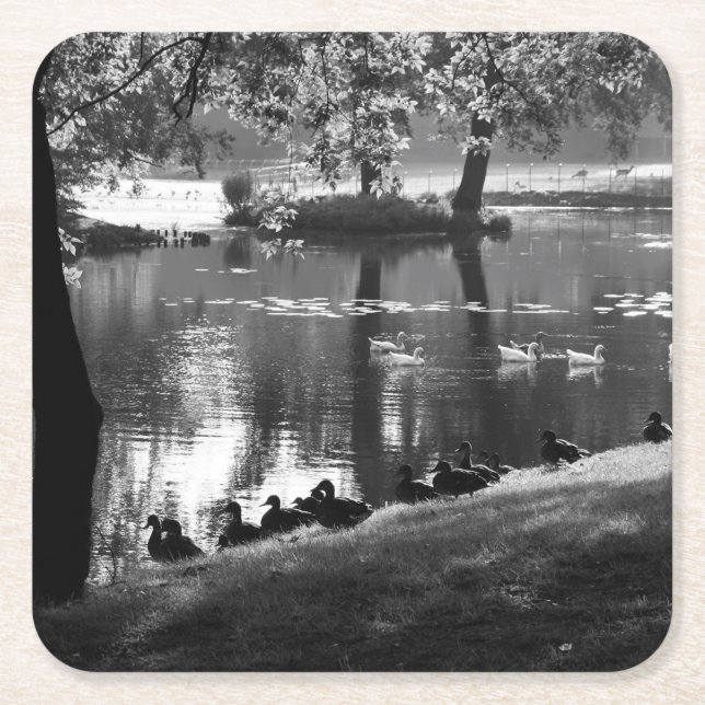 Park Life Coercnm Underlägg Papper Kvadrat (Framsidan)