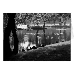 Park Life Gccna Hälsningskort