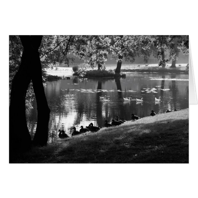 Park Life Gccna Hälsningskort (Framsidan Horizontal)