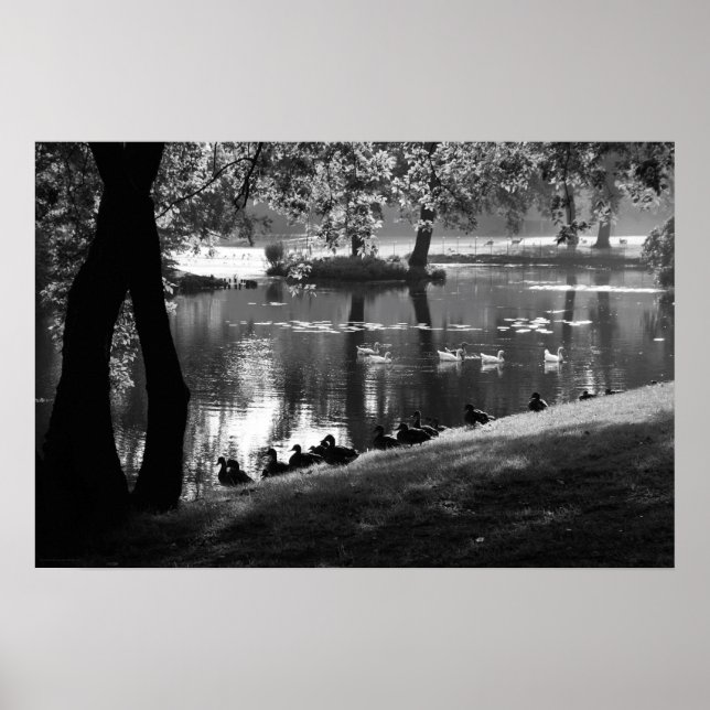 Park Life wapcn Poster (Framsidan)