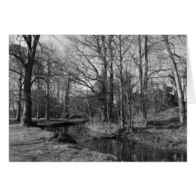 Park Ligcape - Bute Park, Cardiff Hälsningskort (Framsidan Horizontal)