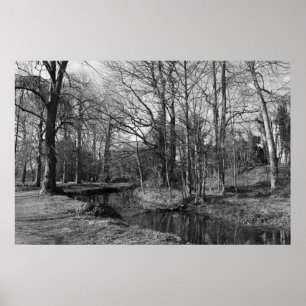 Park Ligcape - Bute Park, Cardiff Poster