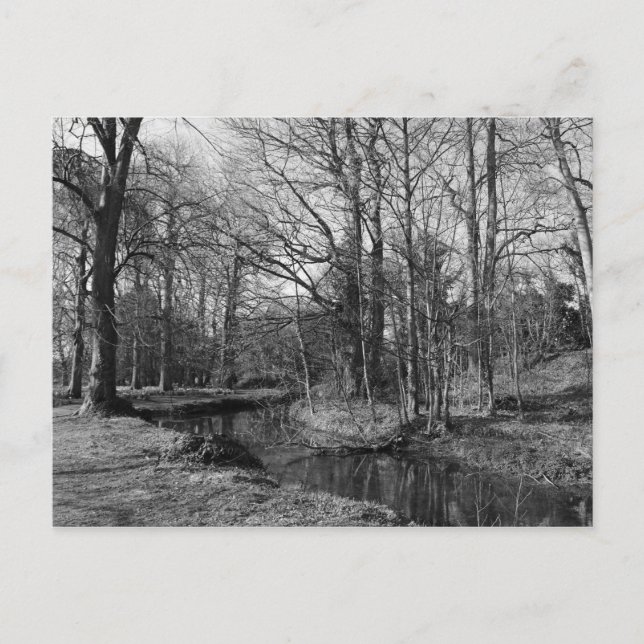 Park Ligcape - Bute Park, Cardiff Vykort (Framsida)
