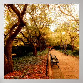 Park, NYC Central Park Poster