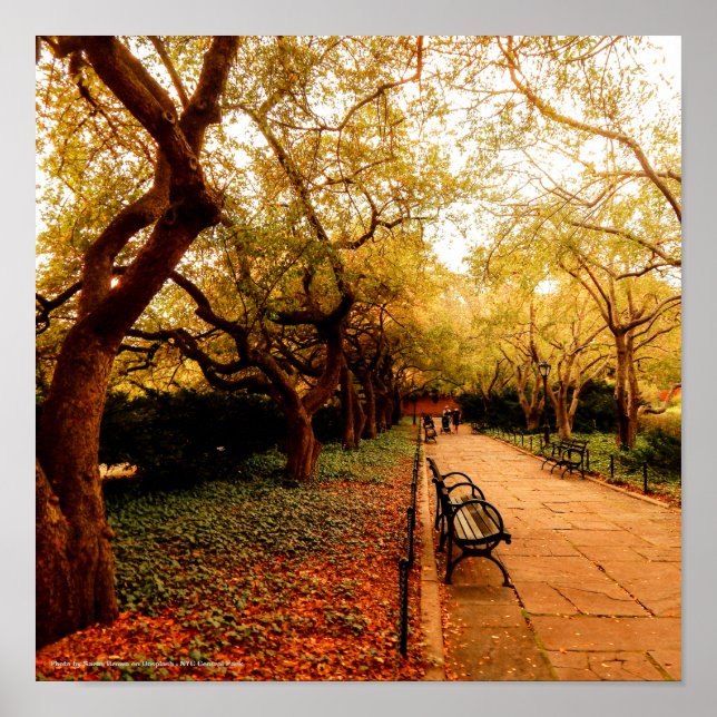 Park, NYC Central Park Poster (Framsidan)