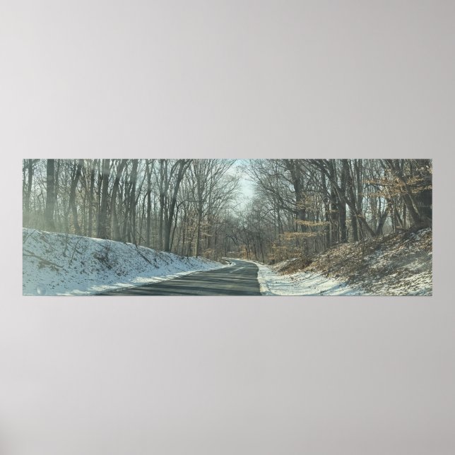 Park Roadway i Winter Poster (Framsidan)