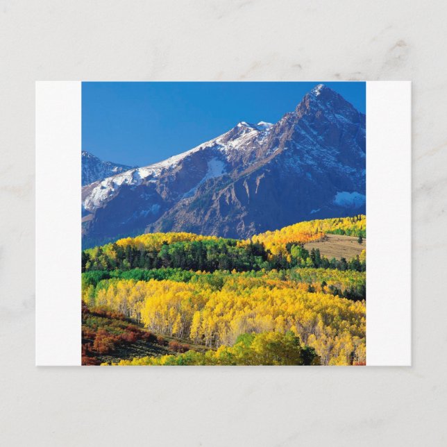 Park Sneffels Uncompahgre Forest Colorado Vykort (Framsida)
