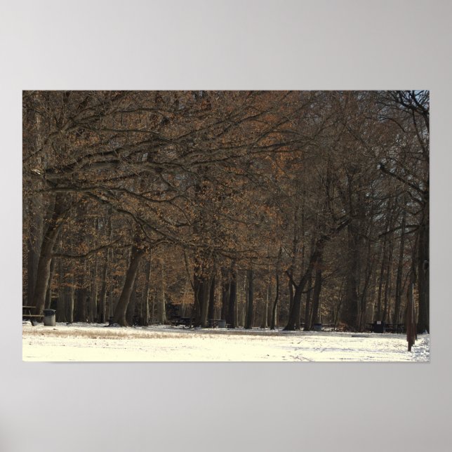 Park Träd och Snö Poster (Framsidan)