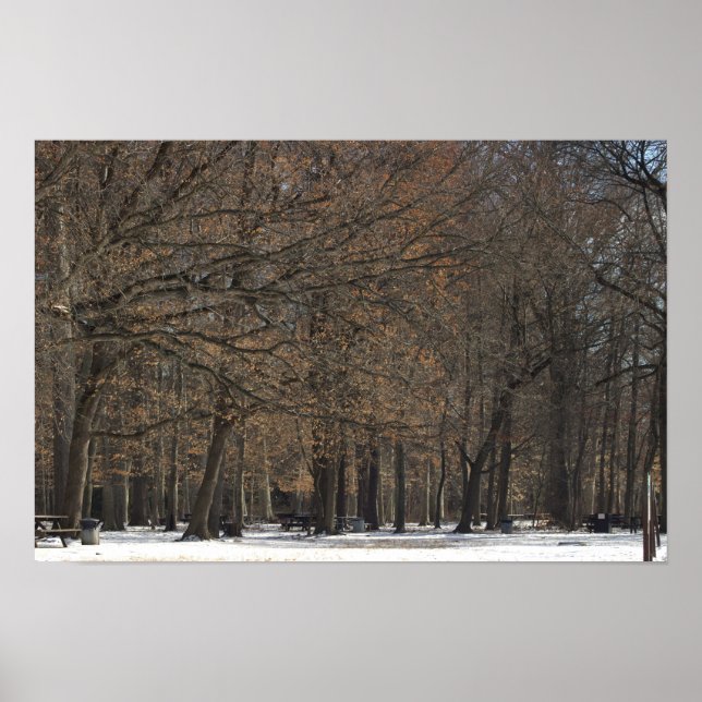 Park Träd och Snö Poster (Framsidan)
