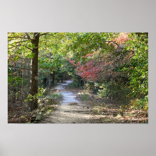Park Väg Photo Poster (Framsidan)