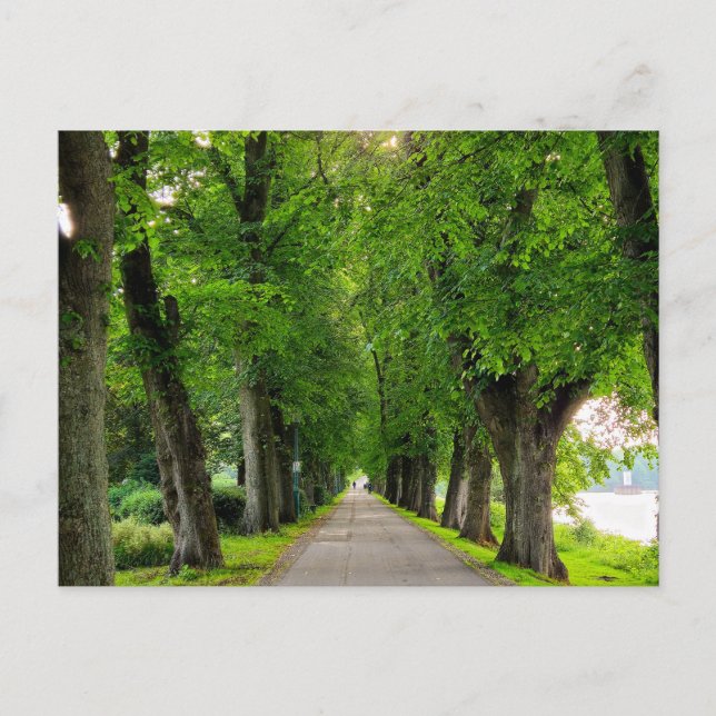 Park Vykort (Framsida)